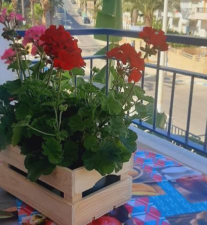 Carboneras, La Mar Divina Apartman Kültér fotó